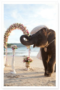 Phuket beach wedding setup